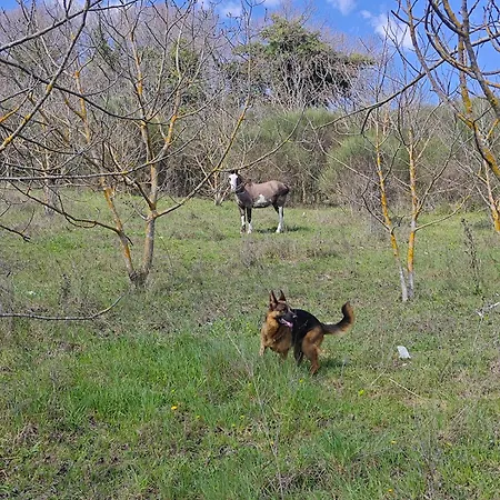 - Casa Raffaella Di Michele E Sven * Allerona