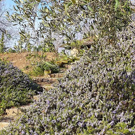 - Casa Raffaella Di Michele E Sven *