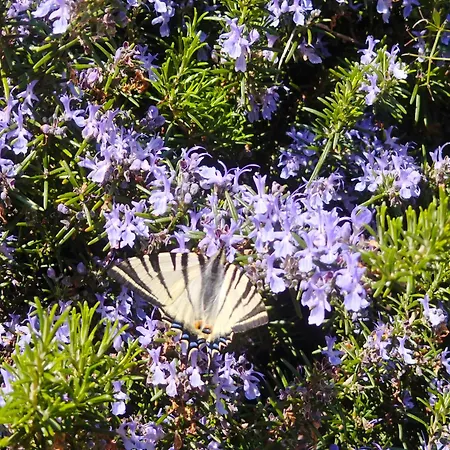 - Casa Raffaella Di Michele E Sven