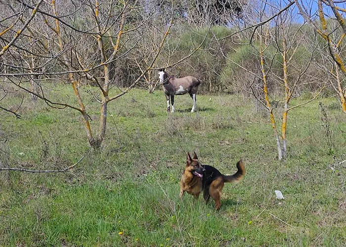 - Casa Raffaella Di Michele E Sven * Allerona
