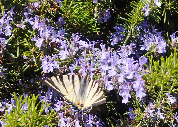 - Casa Raffaella Di Michele E Sven